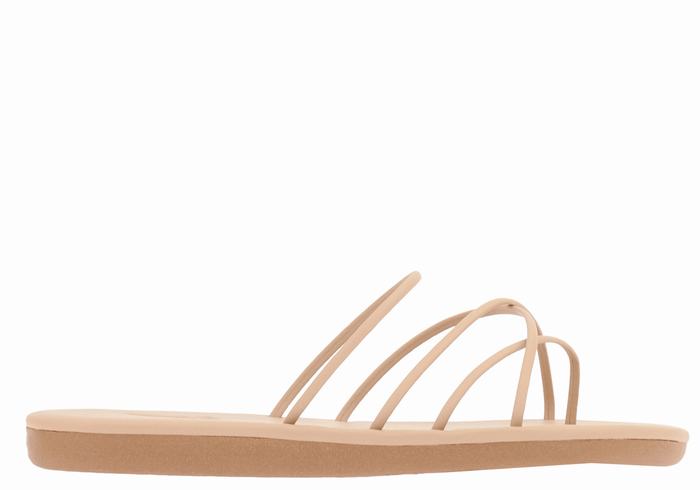 Sandales à Glissière Ancient Greek Sandals Pu   | TVA-3776478